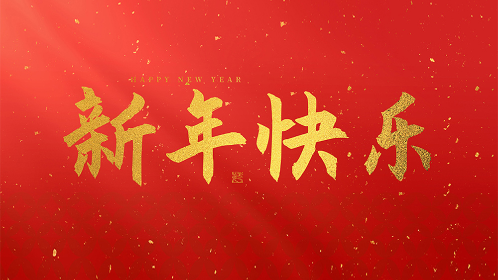 麗水市威儀自動化技術有限公司祝全國人民2025新年快樂！